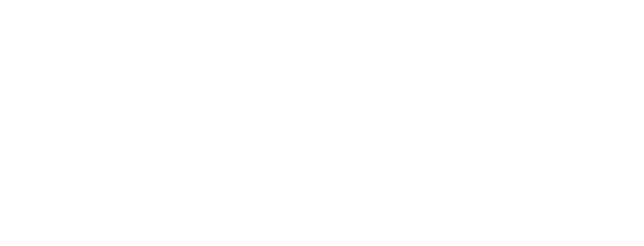 Technische Hochschule Mannheim